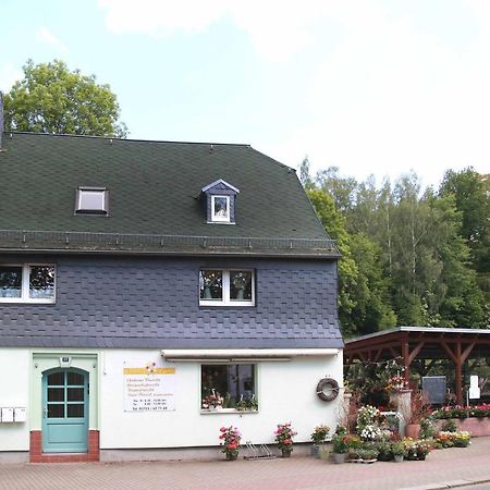 Fewo -Schiefe- Marie Oberlungwitz Exterior photo